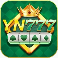 Image for YN 777